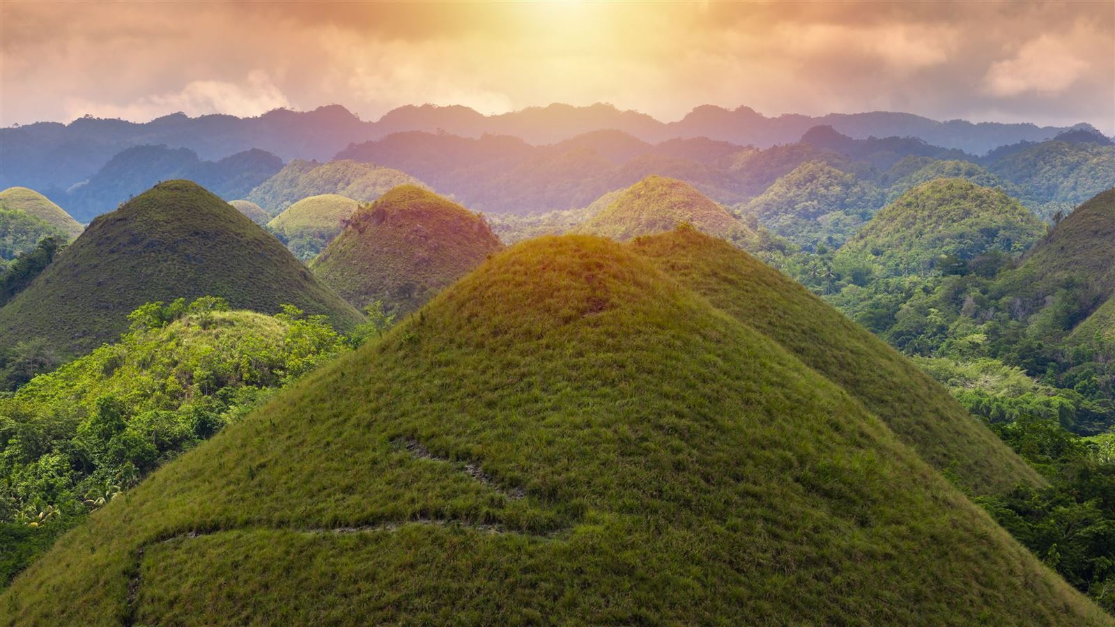 Chocolate hills